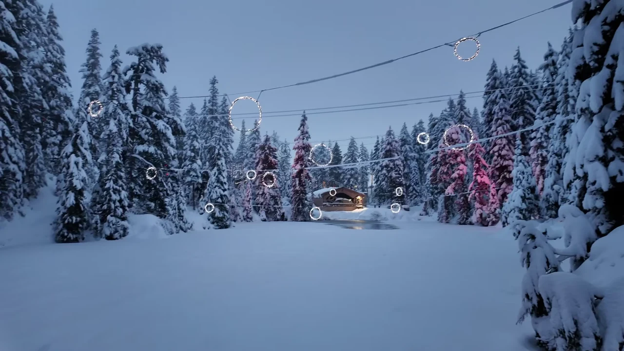 Snow-covered trees and a ski lift in Vancouver.